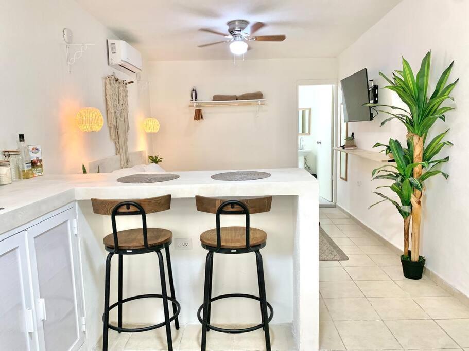 Casa Anuiti Centrica Ubicacion. Leilighet San José del Cabo Eksteriør bilde