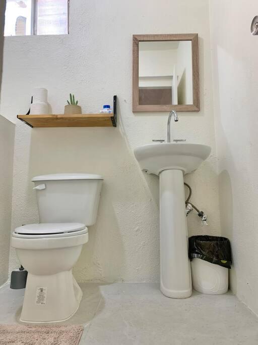 Casa Anuiti Centrica Ubicacion. Leilighet San José del Cabo Eksteriør bilde