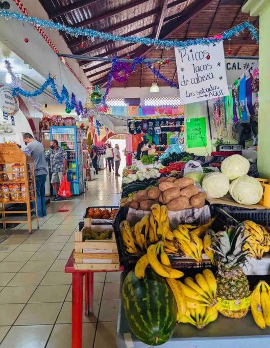Casa Anuiti Centrica Ubicacion. Leilighet San José del Cabo Eksteriør bilde
