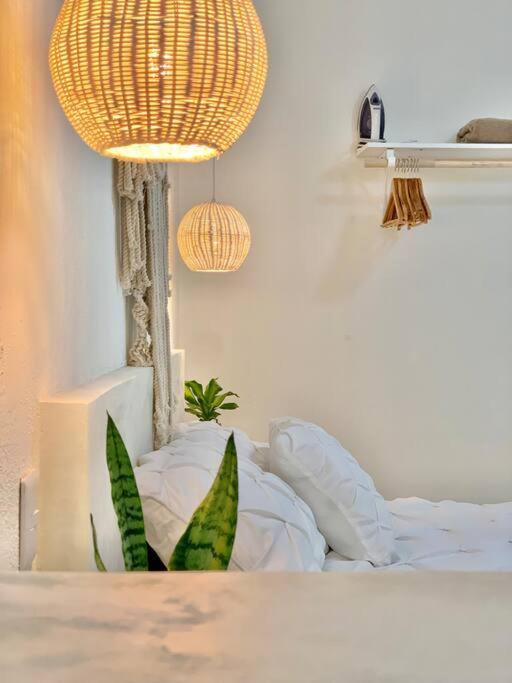 Casa Anuiti Centrica Ubicacion. Leilighet San José del Cabo Eksteriør bilde
