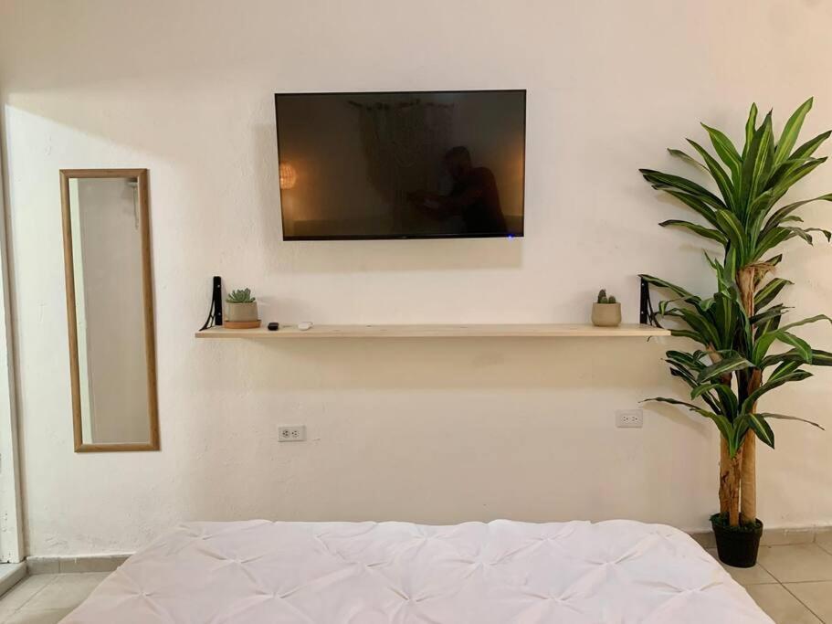 Casa Anuiti Centrica Ubicacion. Leilighet San José del Cabo Eksteriør bilde